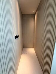 Skyline Residences (D4), Condominium #568785181